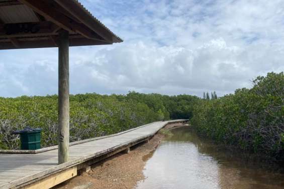 A Nouméa, l'itinéraire dédié aux modes doux se poursuit entre le parc urbain et la mangrove de Ouémo