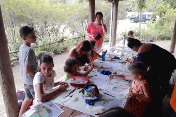 Activités au parc des Grandes Fougères