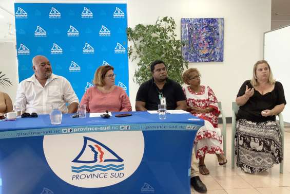 La province Sud lance un dispositif d’aide pour les salariés et les sous-traitants de Vale