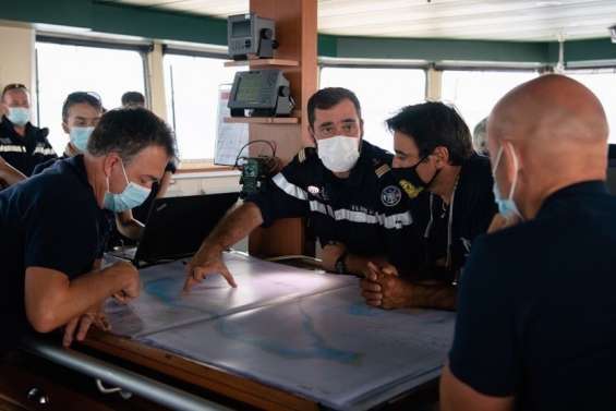 Pacifique : les oiseaux sentinelles se raréfient