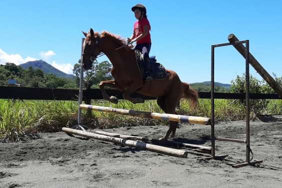 La journée portes ouvertes du centre équestre Pégase reportée