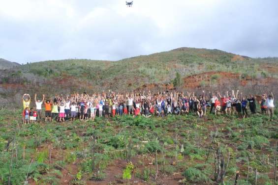 Plantation à La Coulée