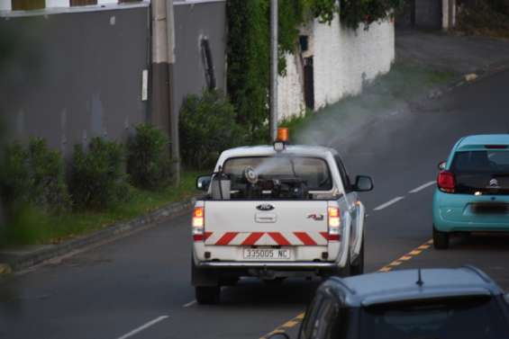 Des moustiques, mais peu de cas de dengue à Nouméa