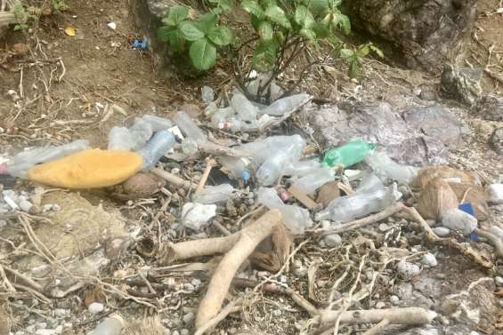 Comment participer au ramassage ?