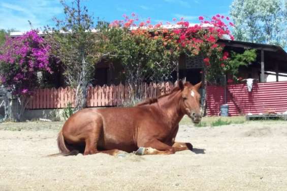 Sorties : votre programme du week-end