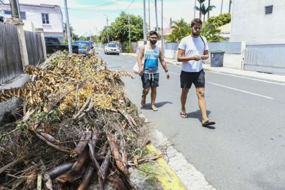 En cas de cyclone, les déchets verts doivent être mis à l'abri, rappelle la ville de Nouméa