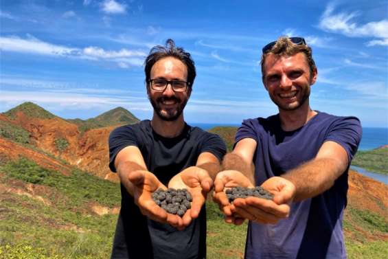 [VIDÉO] Les bombes végétales, des armes de reboisement massif ?