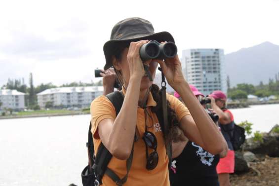 Une semaine pour valoriser les femmes actives du Grand Sud