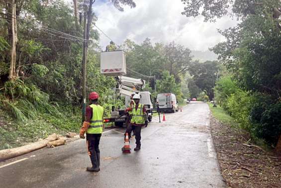Cyclone Niran : près de 15 000 foyers toujours privés d'électricité