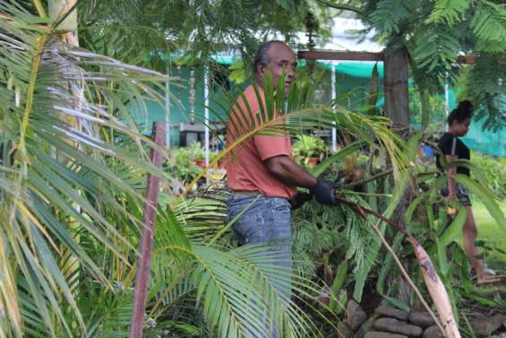 Un dimanche de grand nettoyage et d'élagage pour les Mondoriens
