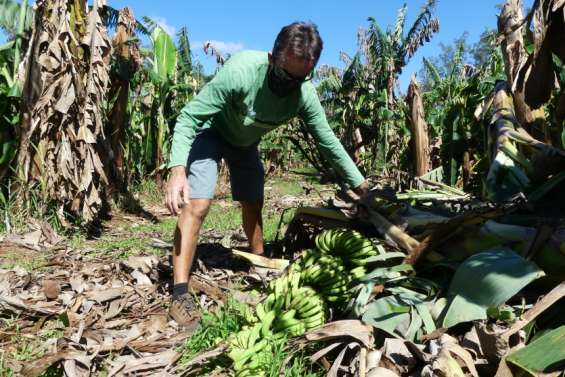 Pluies de Lucas et rafales de Niran : 