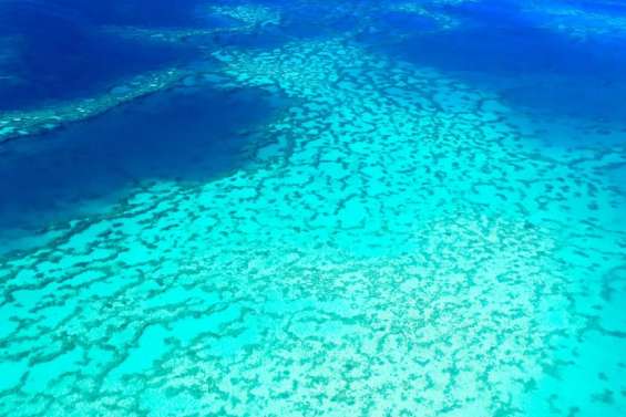 Le Comité de gestion de la zone côtière Ouest annule son AG