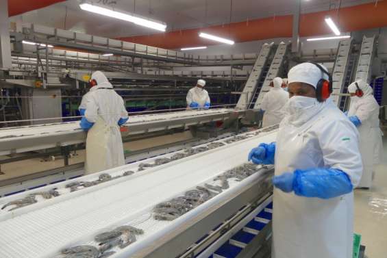 [REPORTAGE] L'usine de conditionnement de la Sopac se démène pour maintenir son activité