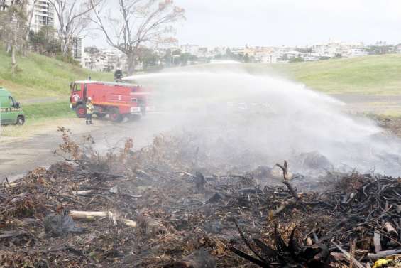 Magenta : plusieurs incendies de végétation au cours de la nuit