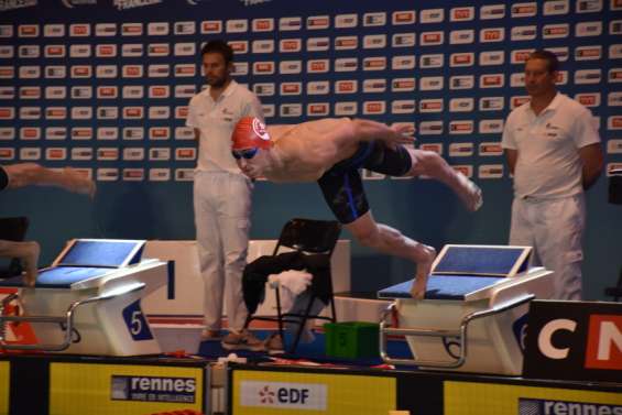 Manaudou fait patienter Grousset