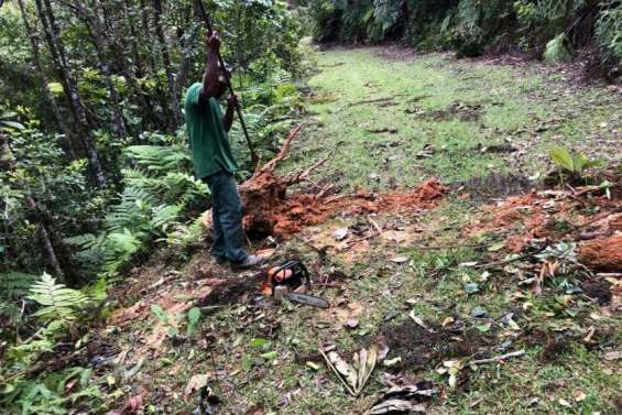 Le parc des Grandes fougères prépare sa réouverture