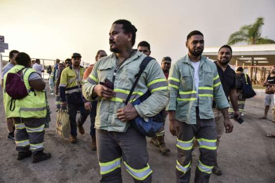 L'usine du Sud salue Vale et adopte l'aigle pêcheur de Prony Resources