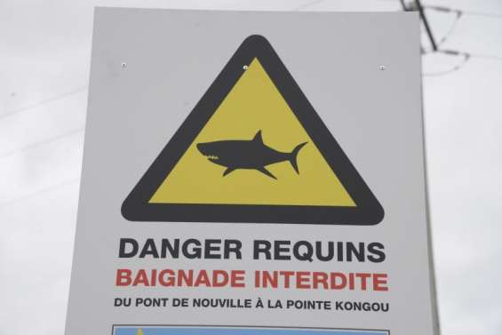 Les associations protectrices de l'environnement prônent des études scientifiques plutôt que des abattages ciblés