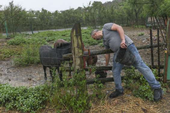 Les petits centres équestres cherchent de l'aide pour l'avenir