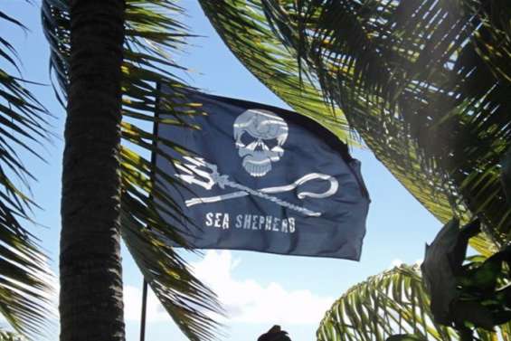 Un hub qui fait polémique