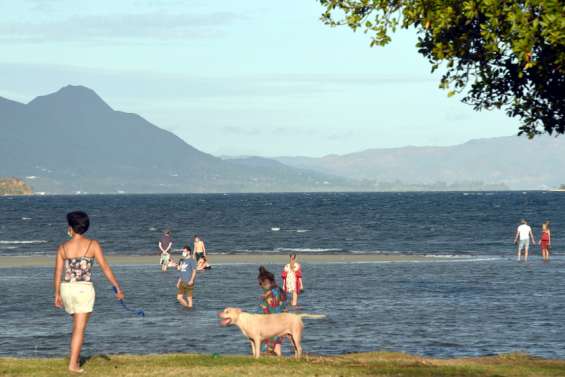 Pollution : baignade et activités interdites à la plage de Magenta
