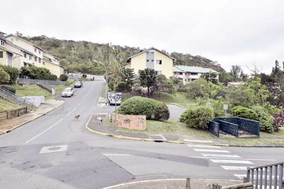 Magenta : l'incendiaire présumé libéré