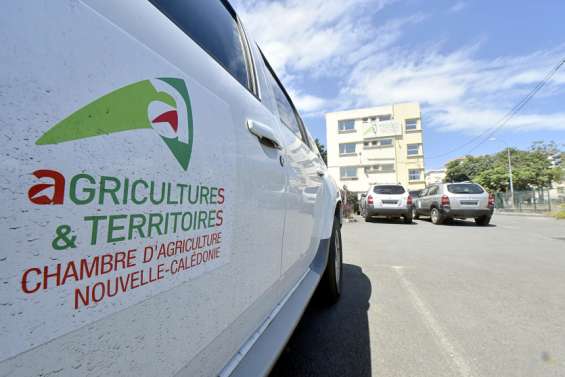 La Chambre d'agriculture visée par un rapport explosif sur sa gestion financière