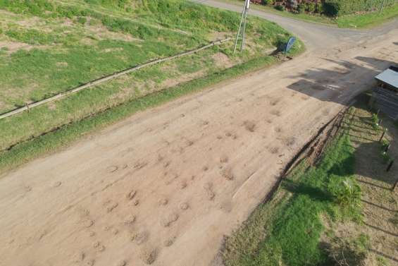 Les nids-de-poule comblés à partir de la semaine prochaine