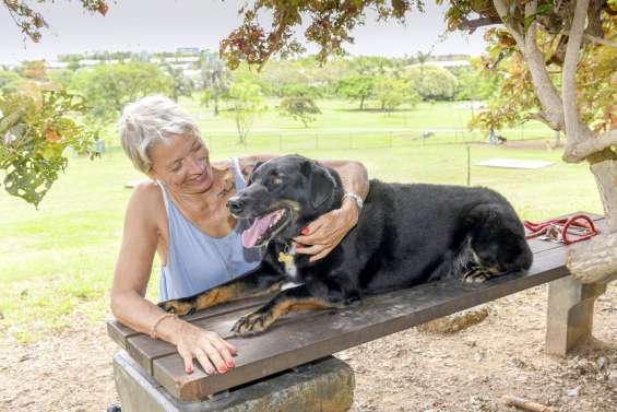 L'Apanc autorisée à faire adopter des animaux de la fourrière non réclamés