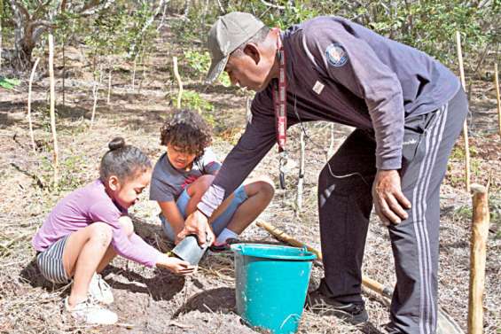 La 4e Fête de la forêt revient au Ouen Toro samedi