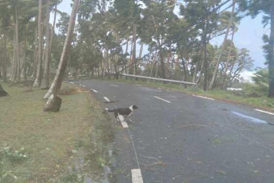 Des financements pour réparer les routes