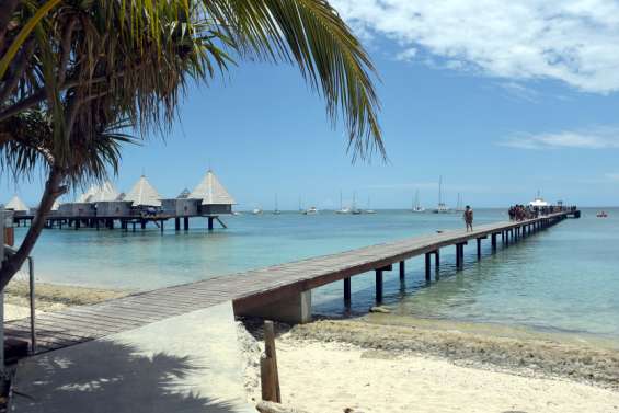 Alerte requin à l’îlot Maître