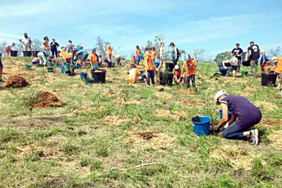 Nouméa : la Fête de la forêt bat son plein au Ouen-Toro