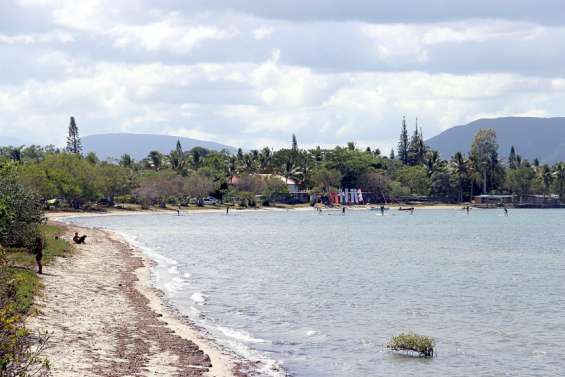 Alerte aux requins à Koné
