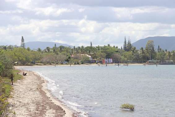De nouveaux requins observés à Foué