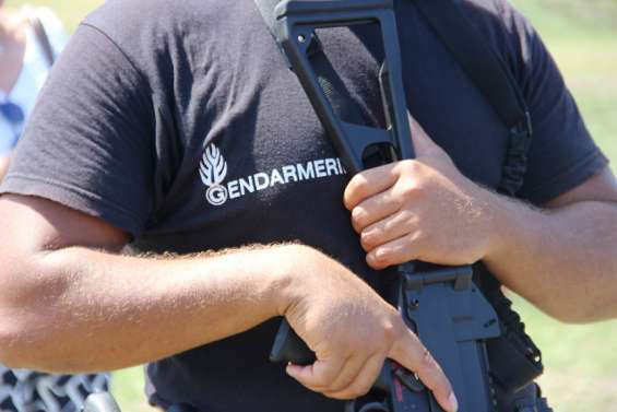 Le meneur d'une équipe de voleurs avait 15 ans