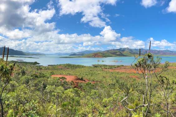 Plus de 1 400 entreprises aidées par la province Sud grâce aux plans d’urgence