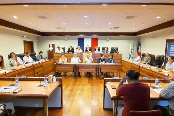 Un projet commercial de 6 000 m2 présenté aux élus de La Foa