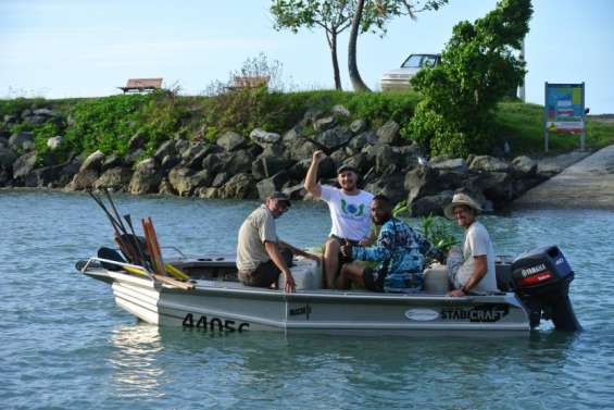 Caledoclean plante 400 arbres sur les îlots Sainte-Marie et Uéré