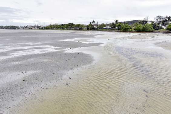 Baignade interdite à la plage de Magenta pour cause de pollution