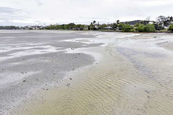 Baignade interdite à la plage de Magenta pour cause de pollution