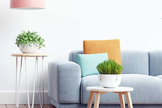 Animations culturelles, projections, sorties… à Nouméa comme en Brousse