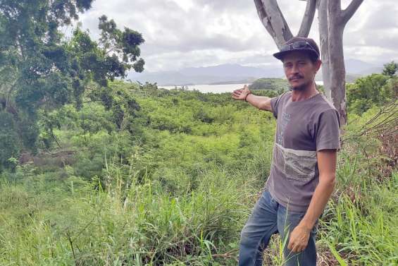 Nouméa : des jardins citadins à la place de l'ancienne fourrière de Tindu