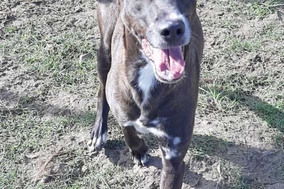 Oscar Né en décembre 2017