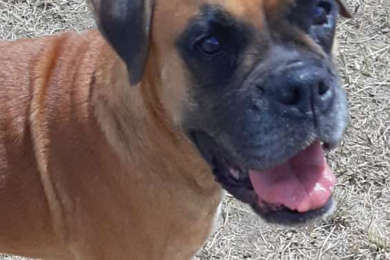 Willow Née en novembre 2016