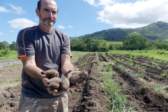 [VIDÉO] Sale temps pour les agriculteurs