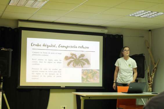 Crabes et crevettes s'invitent à la bibliothèque de Koné