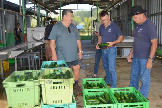 La Chambre d'agriculture au chevet des producteurs de Bourail