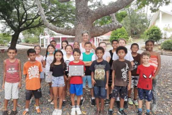 Le concours Des p'tites mains pour un grand festin est relancé