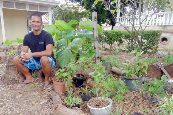 Plus qu'un potager, un futur laboratoire en pleine ville